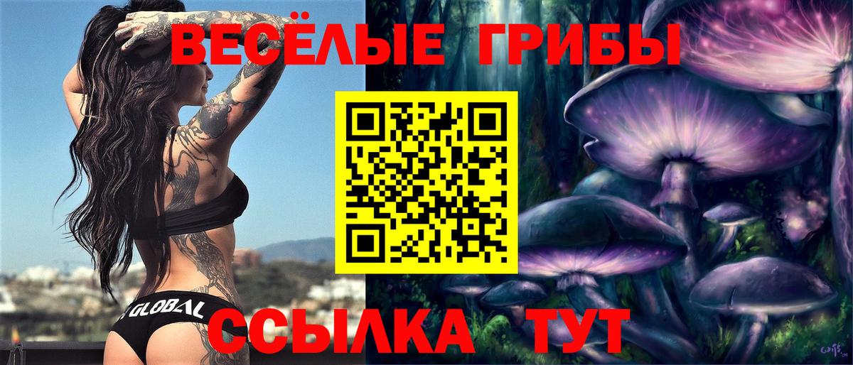 Галлюциногенные грибы мухоморы  Галлюциногенные грибы Cubensis  Ишим  Вход с VPN 
