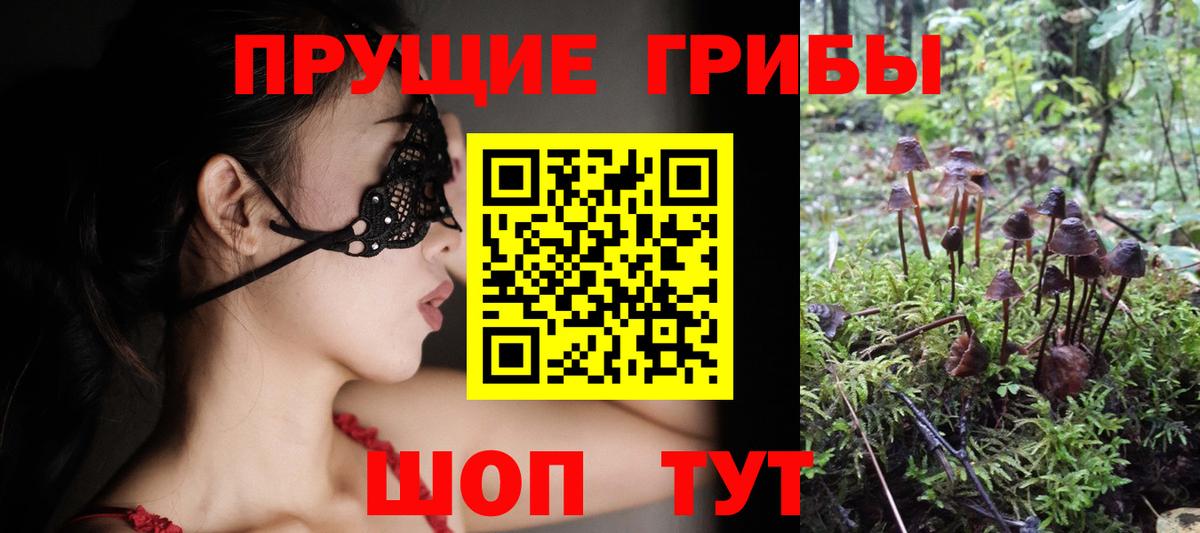 Псилоцибиновые грибы Magic Shrooms Ишим